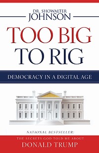 Too Big to Rig: Democracy in a Digital Age