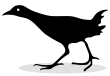 Early Reviewers Logo